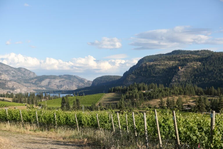 Kelowna Wedding Venue Guide
