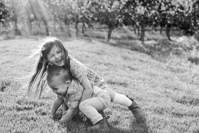 10_Oak_Estate_Winery_BC